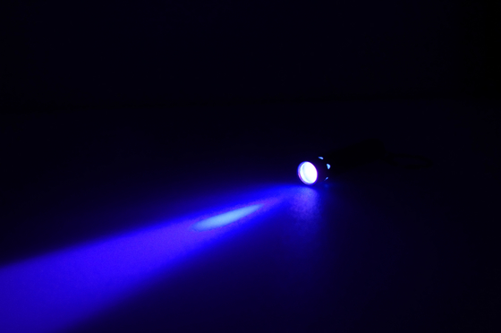 ギフトの昇進のための管の形のステンレス鋼LED キーチェーンの懐中電燈